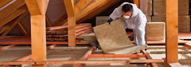 Best Attic Insulation Installation  in Stanaford, WV